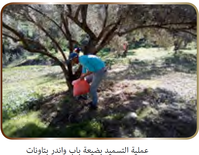 عملية التسميد بضيعة باب برد