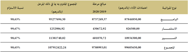 نوع الميزانية