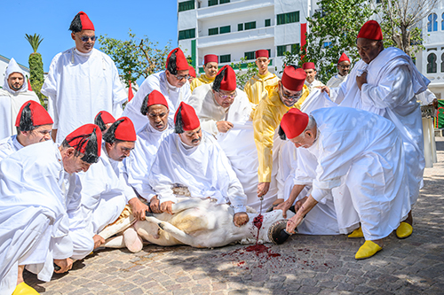 أمير المؤمنين يؤدي صلاة عيد الأضحى المبارك بمسجد الحسن الثاني بتطوان ويتقبل التهاني بهذه المناسبة السعيدة