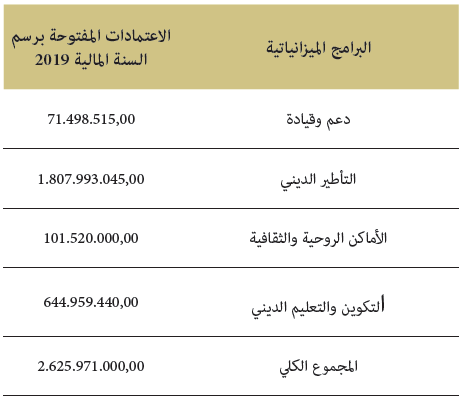 البرامج الميزانياتية البرامج الميزانياتية