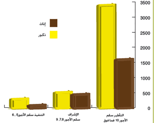 التأهيل حسب الجنس ومستويات التأهيل 2