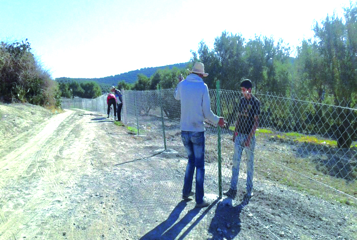 تسييج جزء من ضيعة الرشاشيين image023 3