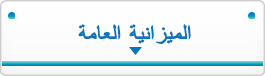 الميزانية العامة