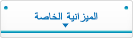 الميزانية الخاصة
