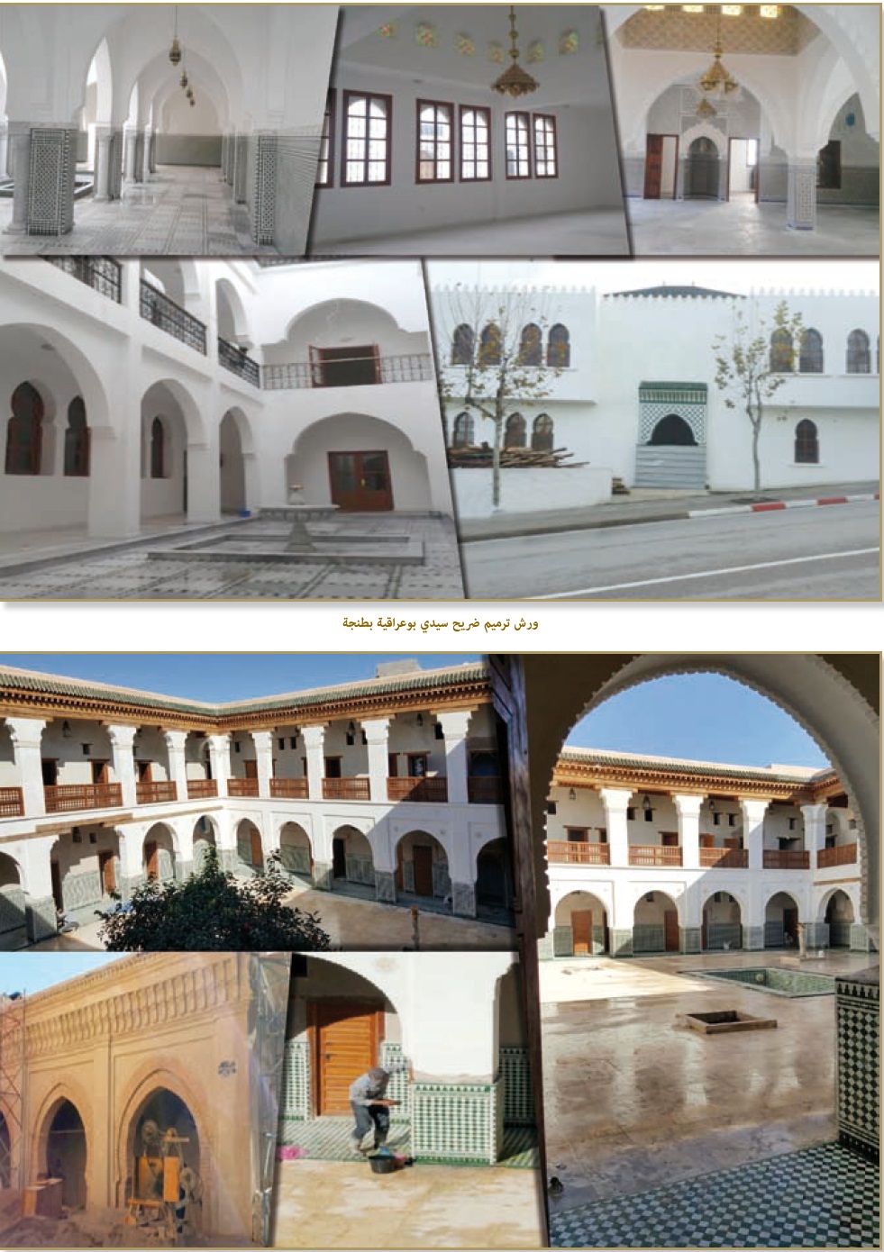 istitmarat akariya 01 16
