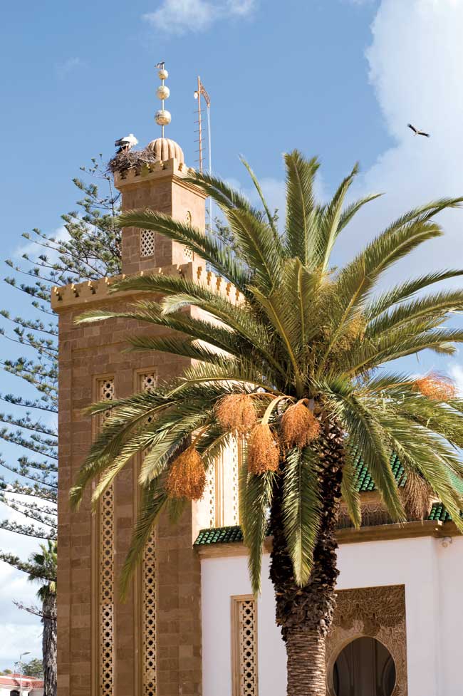 مسجد لالا أسماء، الرباط