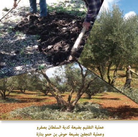 tasyer amlak 2015 2